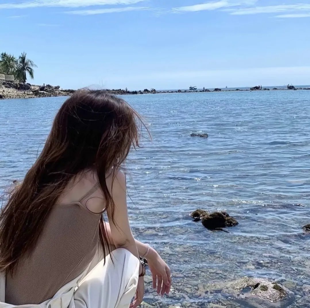 哥斯拉对美加洛